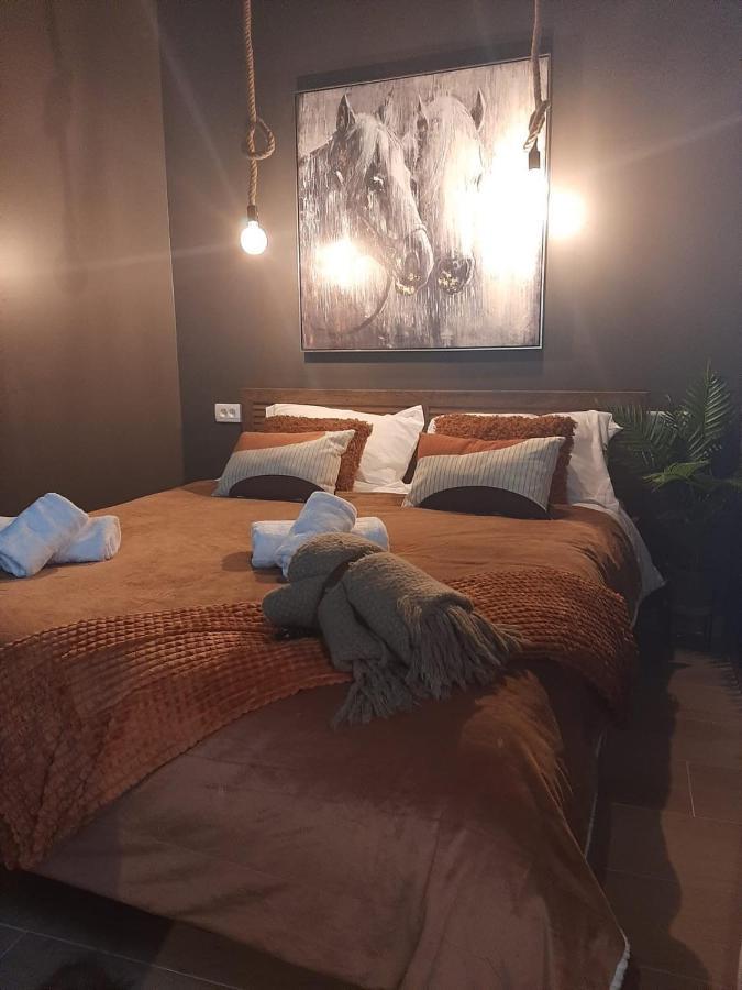 זאדאר Apartments Mazijini Dvori מראה חיצוני תמונה